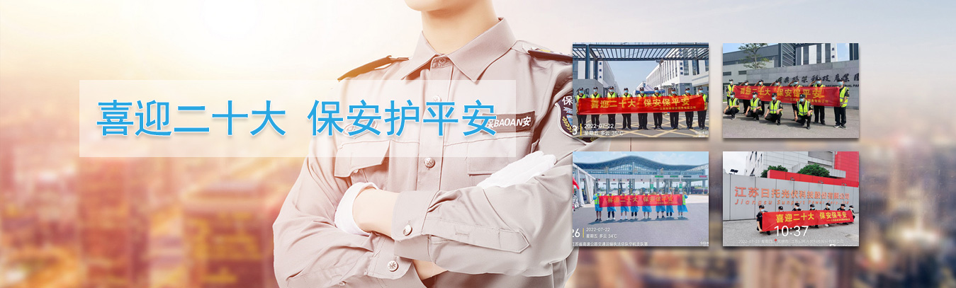 政府案例